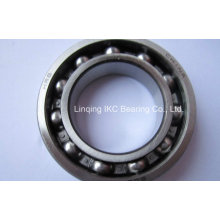 China 6007 Deep Groove Ball Bearings 6008 6009 6010 6006